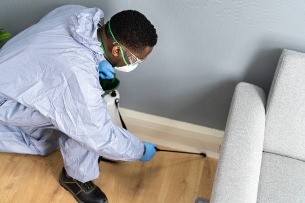 Best Bed Bug Extermination  in Larkspur, CA